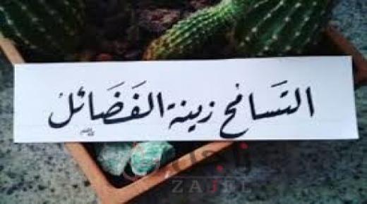 العفو والصفح في واحة الشعر