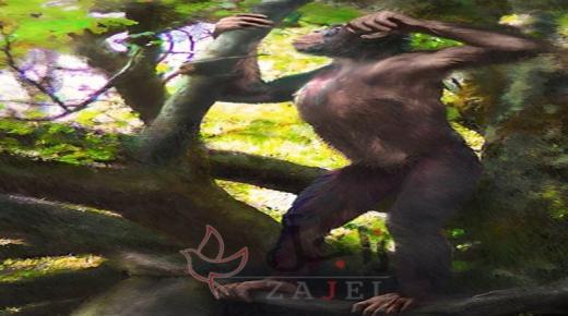 العلماء يكتشفون حفريات لقرد عمره 12 مليون سنة