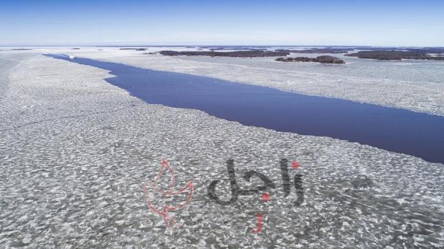 “بيض جليدي” ينتشر على شاطئ جزيرة فنلندية.. كيف تشكّل؟