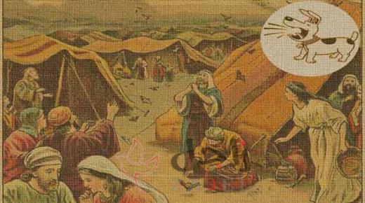 تعرف على قصة المثل الشعبي جنت على نفسها براقش