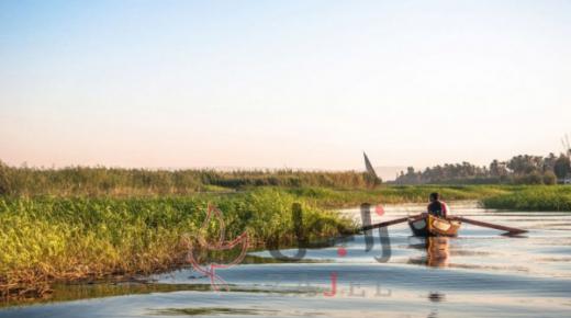 تلقي بطفلها في النهر لإنقاذه من جدته