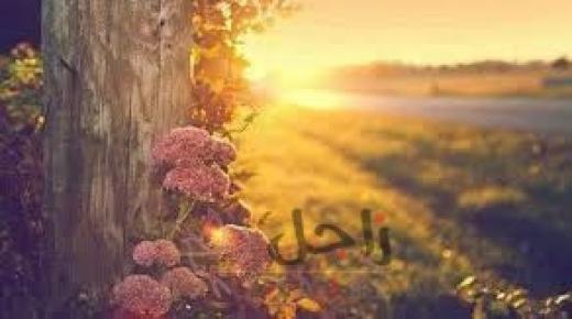 إليك إله الخلق أرفع رغبتي ” الشافعي”