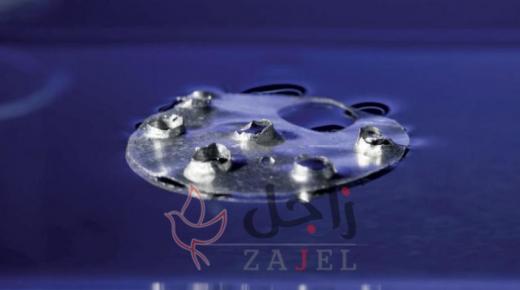 العناكب والنمل تلهم باحثين لإنتاج سفن ضد الغرق