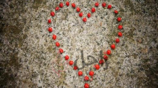 شعر عنترة بن شداد عن الحب