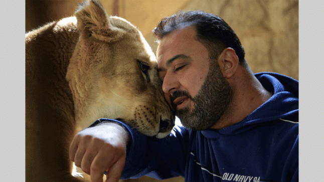 أنثى أسد اسمها «شيماء».. أوفى صديق لسوري في ريف دمشق