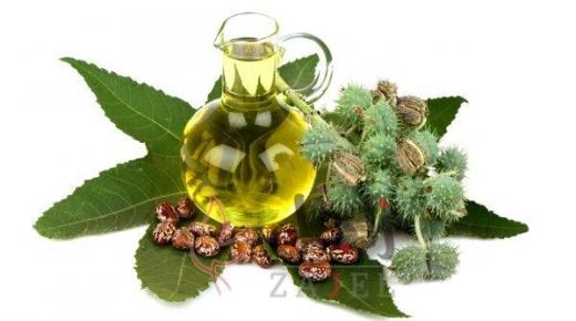 زيت الجوجوبا فوائده ودوره في زيادة جمال الشعر