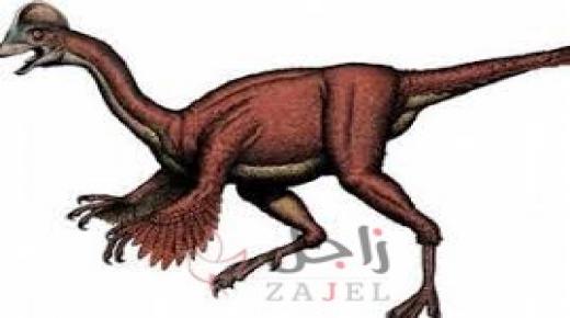 10 كائنات حية تم اكتشافها حديثاً