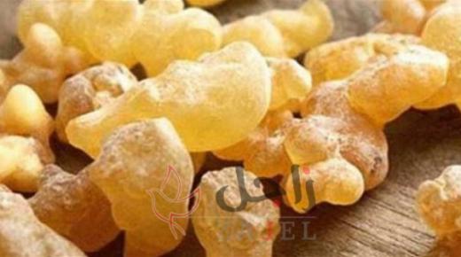 ماذا يحدث للجسم عند استخدام منقوع لبان الدكر لمدة أسبوع؟