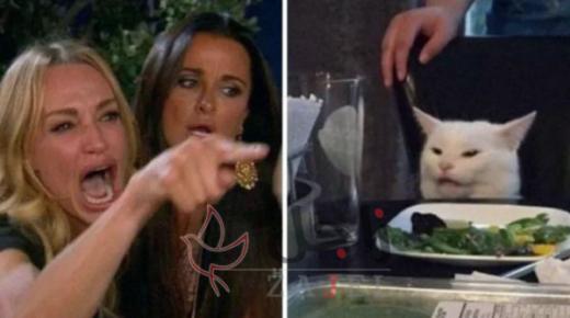 “ميم القط الممتعض والمرأة الصارخة” يغزو مواقع التواصل بالعالم.. ما قصته؟