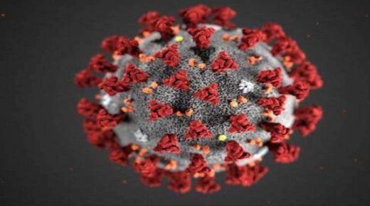كيف سيبدو فيروس كورونا بعد سنوات من الآن؟