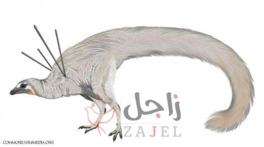ديناصور “بلا شبيه” يثير حيرة العلماء
