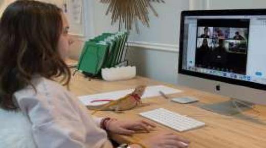 أهم قوانين التعلم عن بعد وشروطه ومدى نجاحه