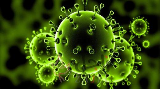 الصين تسجل 6 إصابات بكورونا وتفرض قبعات التباعد الاجتماعي على الطلبة