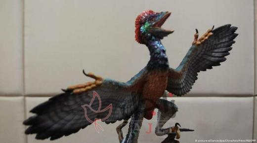 اكتشاف ديناصور بحجم دجاجة عمره 110 ملايين سنة!