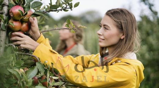 4 أطعمة طبيعية لعلاج مرضى الحساسية