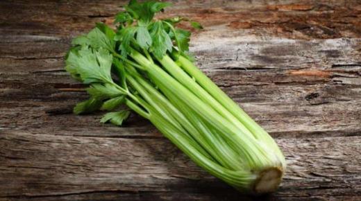 اهم فوائد الكرفس للرجيم