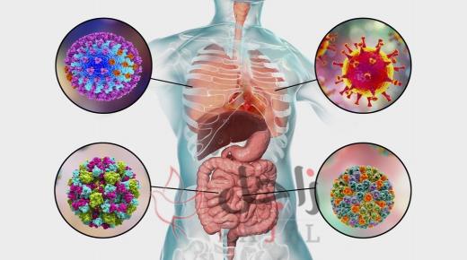 أعراض كورونا أم نزلة برد.. كيف تعرف؟ وما الأسلوب البريطاني في الوقاية؟