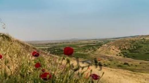 أجواء ربيعية معتدلة الحرارة في معظم المناطق اليوم