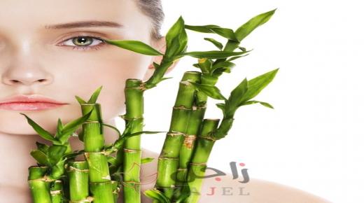 فوائد البامبو للبشرة