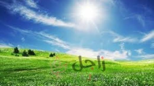 كتلة هوائية دافئة وأجواء ربيعية اليوم