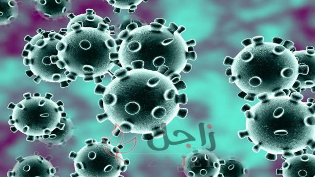 الهياجنة: لا اصابات بفيروس كورونا في اربد لليوم السابع على التوالي