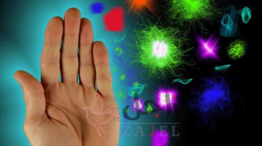 كيف نحمي أنفسنا من كورونا في السوق والمدرسة والعمل؟