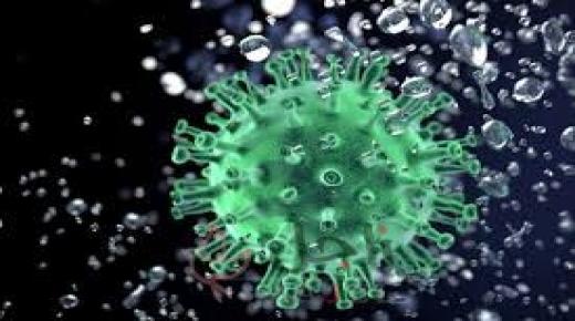 الصين تسجل 24 إصابة جديدة بفيروس كورونا