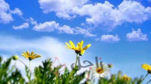 ارتفاع الحرارة مع أجواء ربيعية لطيفة