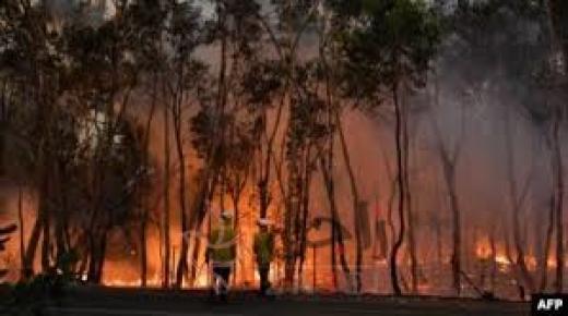 نداء واستدعاء آلاف الجنود للمساعدة في خمد حرائق أستراليا