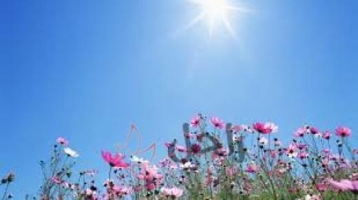 أجواء دافئة نسبيا ومغبرة بوجه عام