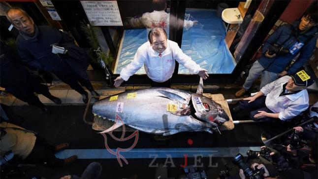 سمكة تونا في اليابان بيعت بـ1.8 مليون دولار