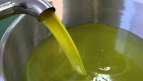 الأردن.. حادثة سرقة مؤلمة لحاج مُسن أمام معصرة زيت في عمّان