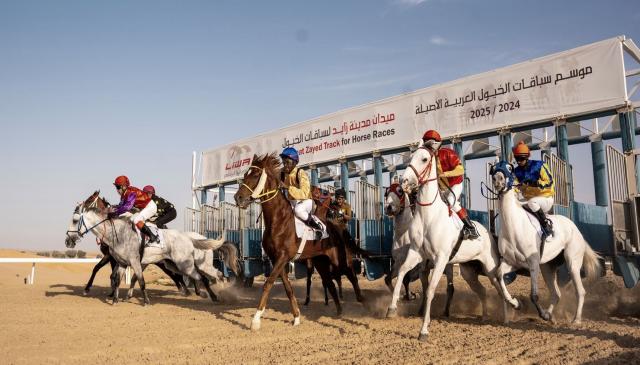 “سفير الثاني” و”الظفرة” بطلا السباق الثامن للخيول العربية في مدينة زايد