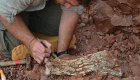 تنين الموت..زواحف طائرة و اكتشاف ارجنتيني