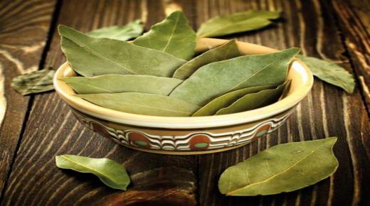 فوائد ورق الغار