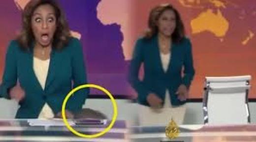 الجزيرة تحسم الجدل حول فيديو الفأر والمذيعة