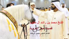 الشيخ محمد بن راشد آل مكتوم…قصيدة “صقر العروبة” للشاعر سليمان الريالات