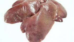 خطوة طبية تاريخية .. زراعة كبد من «خنزير» لـ «إنسان»