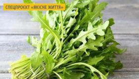 كل ما تحتاج لمعرفته عن نبات الجرجير