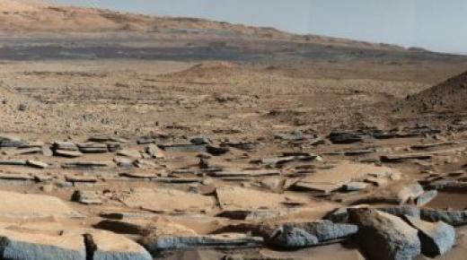 إرسال نوى من شجرة النخيل من الامارات لزراعتها فى المريخ