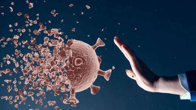 كيف تتطور المناعة من كورونا في جسم الإنسان
