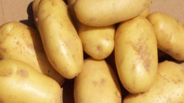 كيفية استخدام البطاطس في المزرعة واستبدالها بأدوات باهظة الثمن