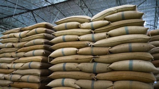 مصر: لا حاجة لمزيد من واردات القمح في المدى القصير أو المتوسط