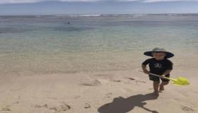 لحظات قبل الكارثة.. طفل يلهو على الشاطئ ووالده بين فكي قرش