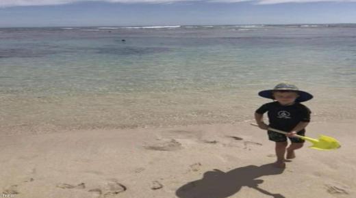 لحظات قبل الكارثة.. طفل يلهو على الشاطئ ووالده بين فكي قرش