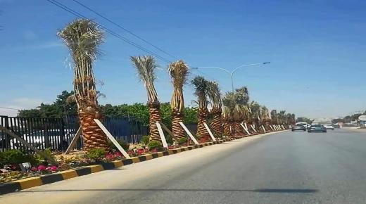 لفتة جميلة وراقية  من جامعة عمان الأهلية….