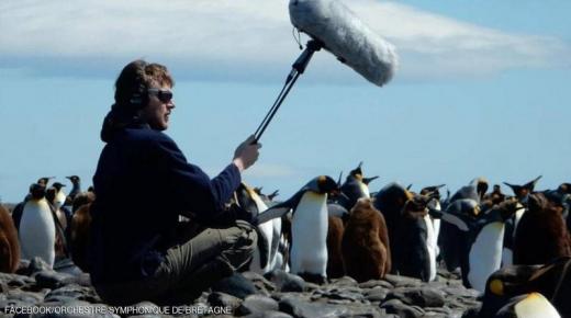 دب يلتهم الفنان الفرنسي”غوتييه” “عاشق الطبيعة”