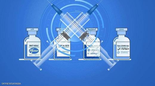 “لقاحات كورونا”.. بماذا تهتم منظمة الصحة العالمية الآن؟