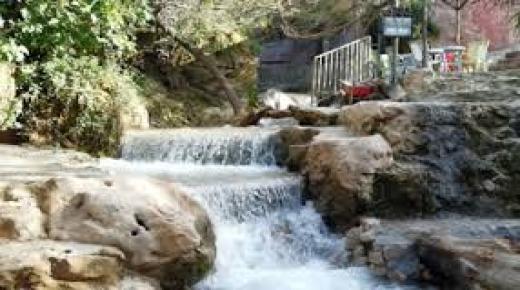 تعليمات جديدة لضبط المخالفات والاعتداءات على الحدائق والمتنزهات في عمان