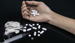 المفرق .. تاجر يخفي المخدرات اعلى شجرة